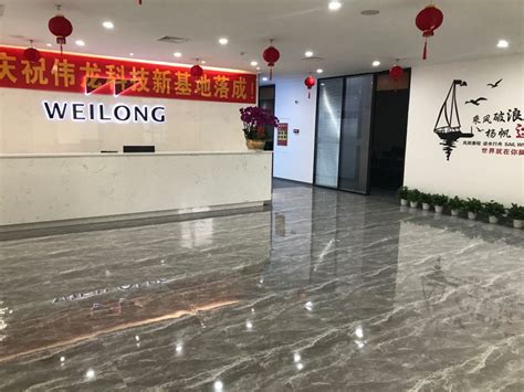 weilong electronics|Song Weilong .